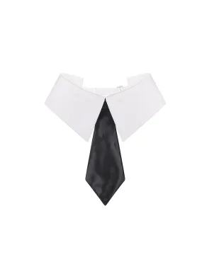 Classic Teacher Tie
