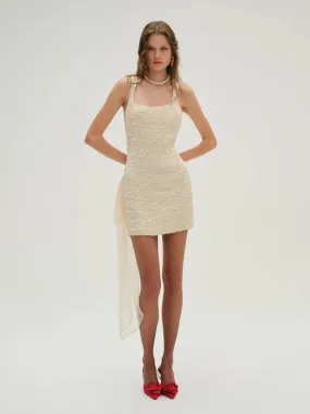 Frosted Organza Mini Dress