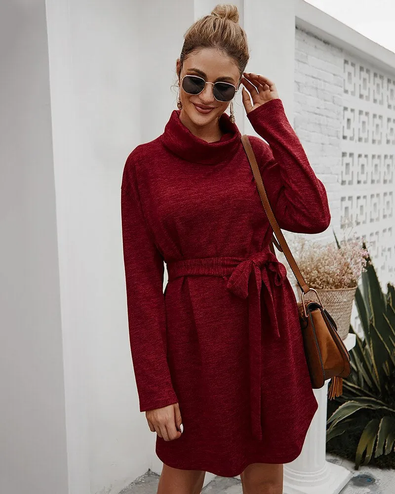 Women's Autumn Casual Long Sleeve Sweater Dress