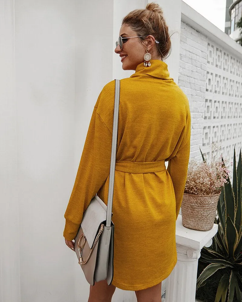 Women's Autumn Casual Long Sleeve Sweater Dress