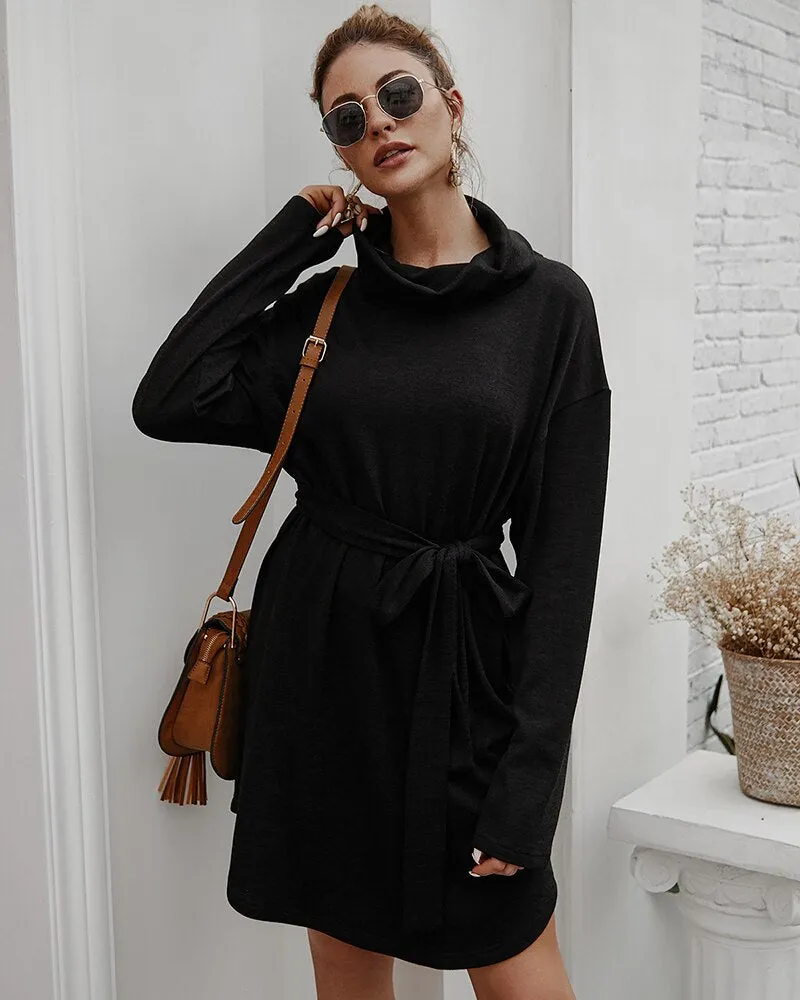 Women's Autumn Casual Long Sleeve Sweater Dress