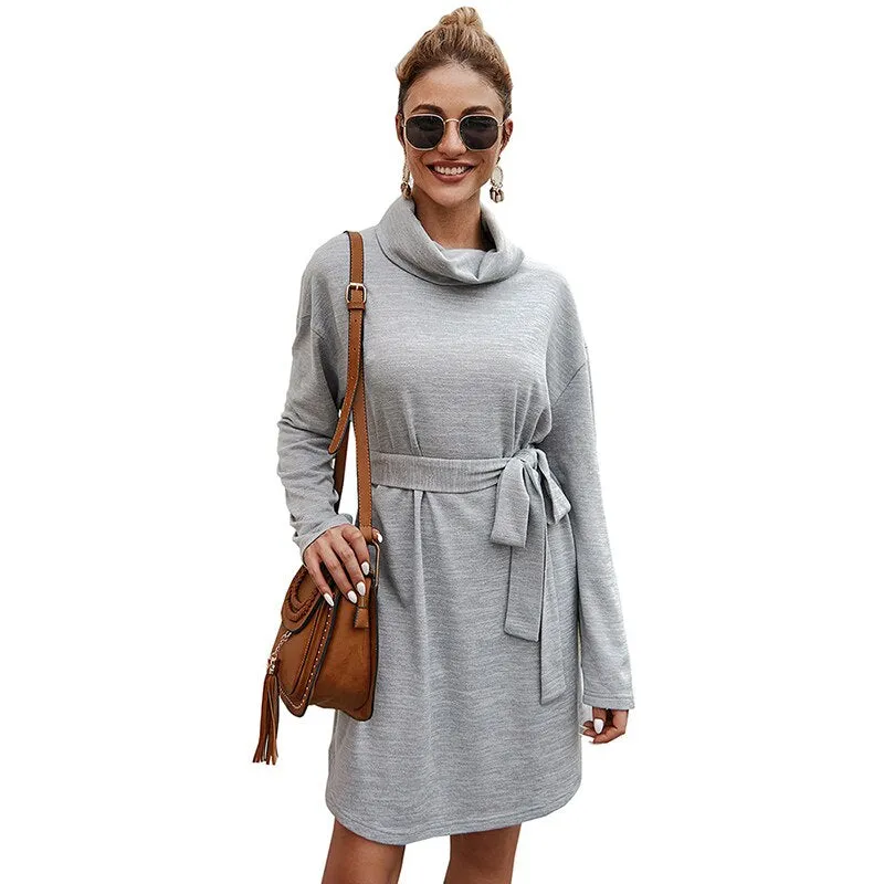 Women's Autumn Casual Long Sleeve Sweater Dress